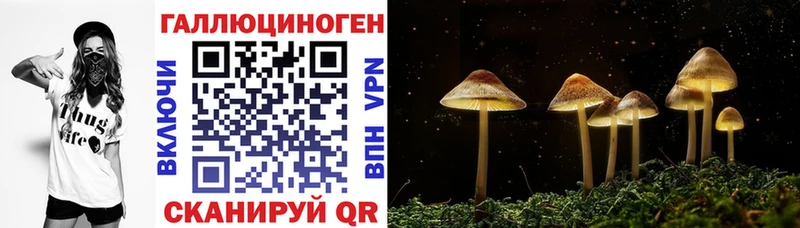 Псилоцибиновые грибы GOLDEN TEACHER  хочу наркоту  Зея 